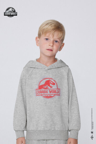 Tezenis Sudadera Manga Larga Capucha Jurassic World Niño Gris Tamaño 10-11