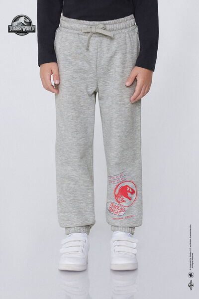 Tezenis Pantalones Largos Felpa Jurassic World Niño Gris Tamaño 10-11