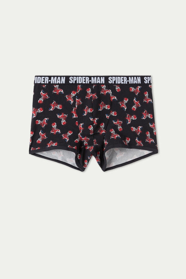 Boxer Spider-Man  