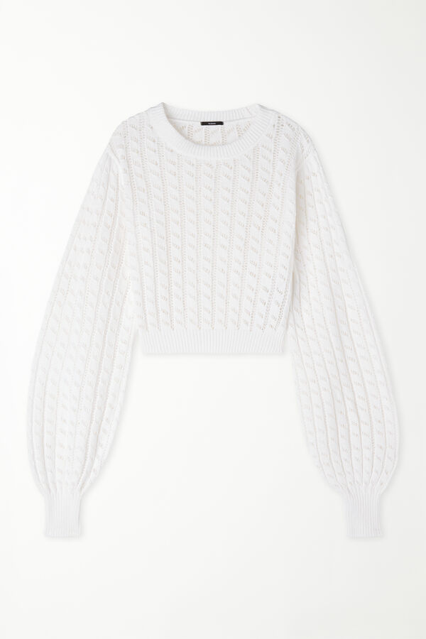 Long-Sleeved Cropped Openwork Sweater  