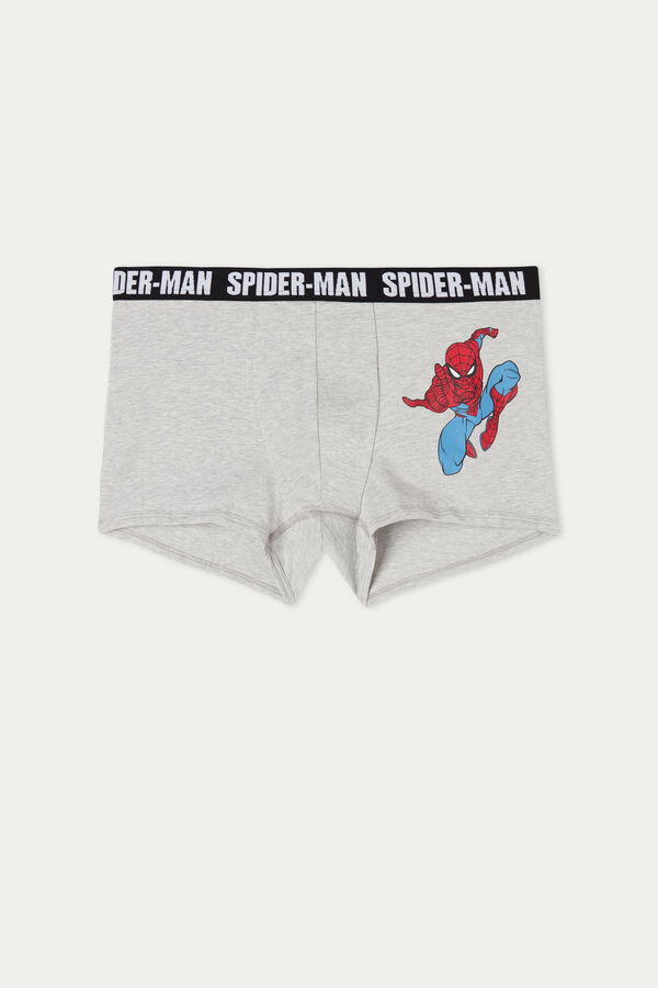 Bokserki z Bawełny Spider-Man  