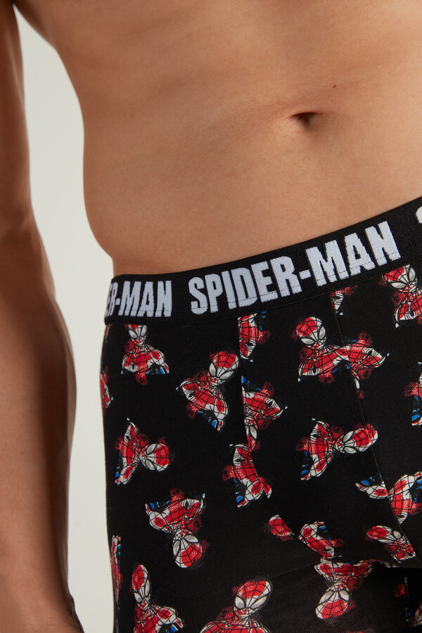 Boxerky Spider-Man  