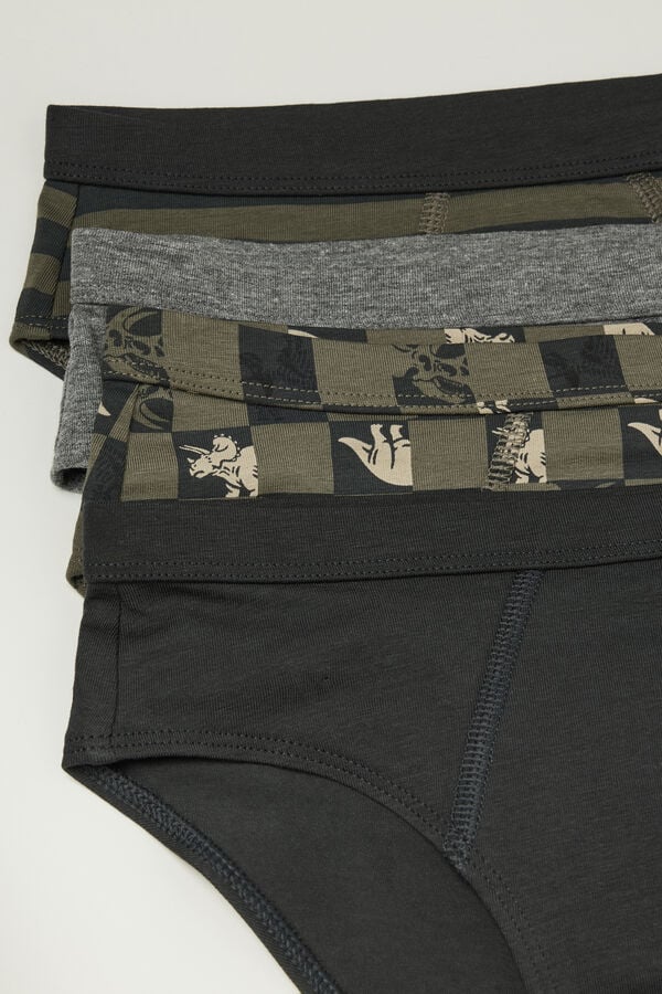 4 Paar Jungen-Slip aus Baumwolle mit Print  
