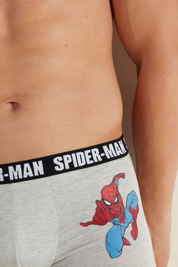 Bokserki z Bawełny Spider-Man  