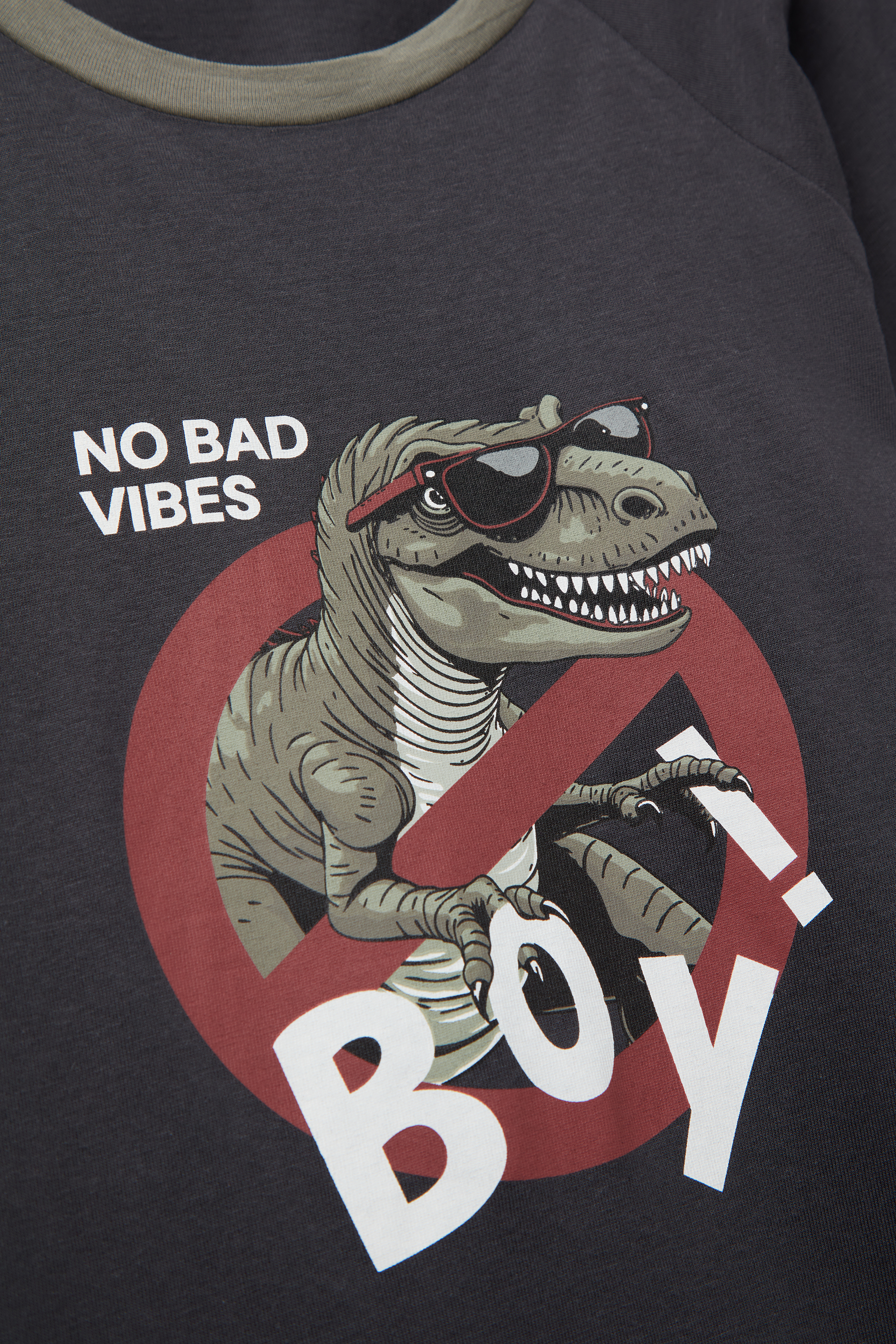 Boys&rsquo; Dino Print Cotton Long Pyjamas