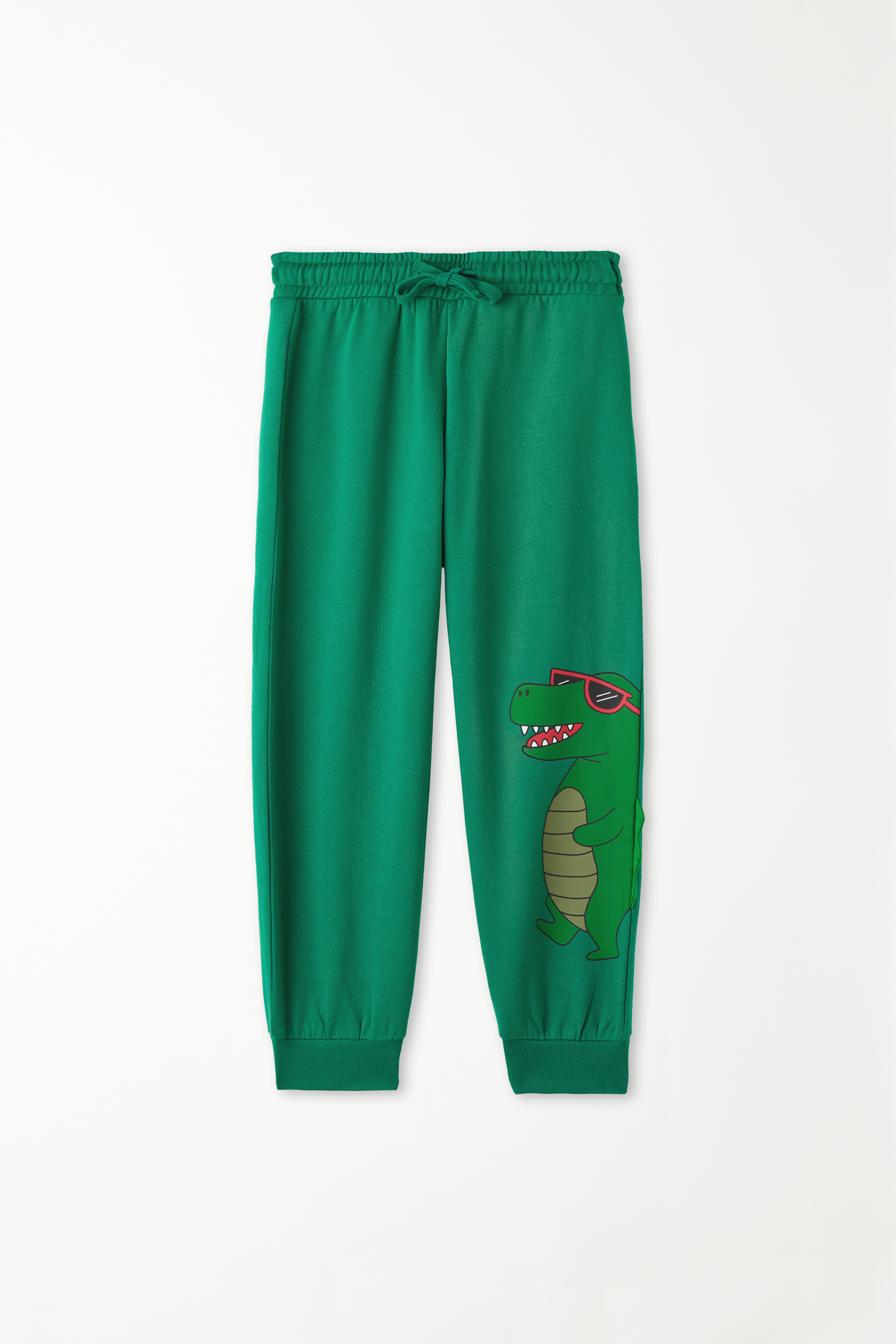 Boys’ Fleece Trousers with Dinosaur Print