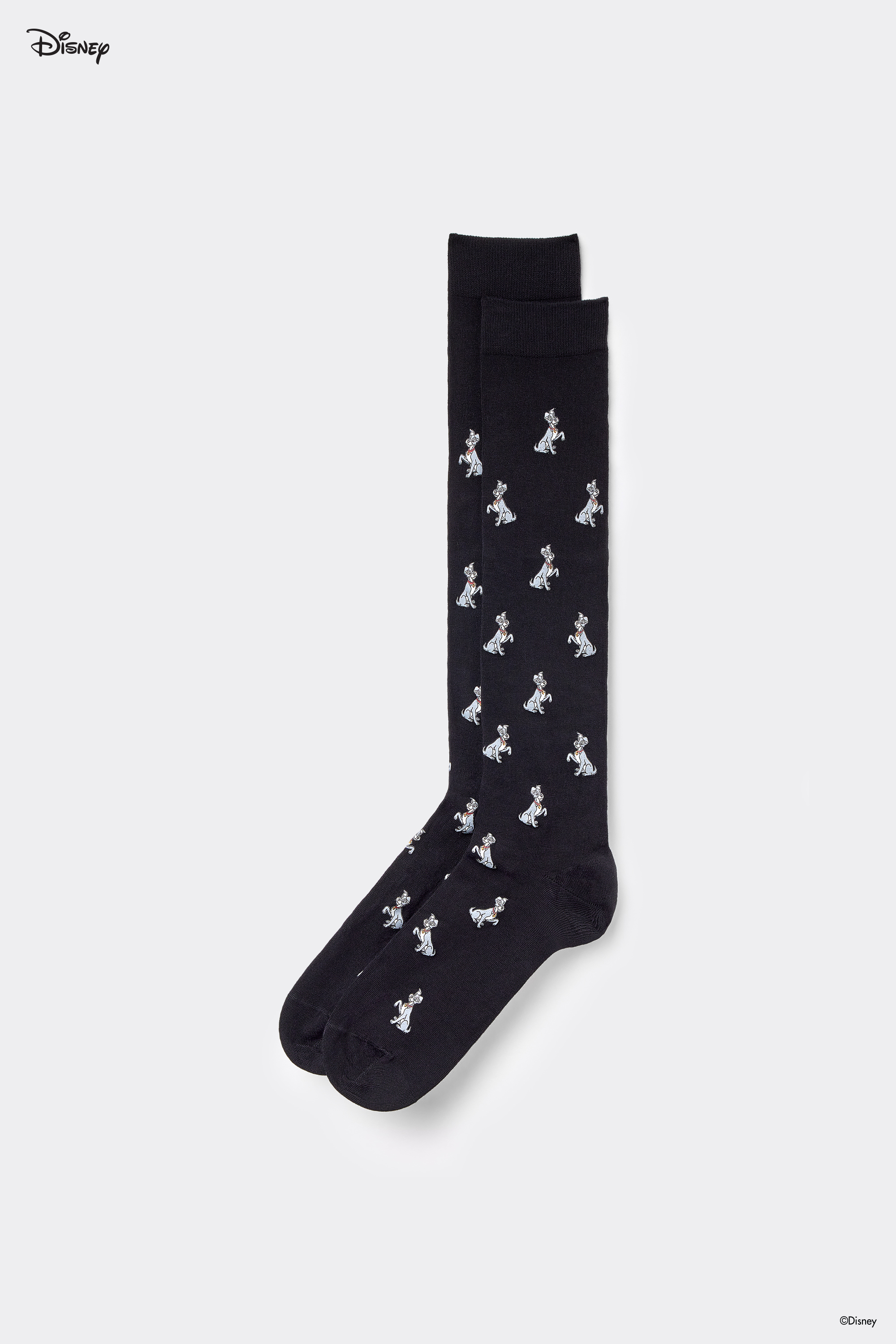 Men’s Lady and The Tramp Disney Print Knee Socks