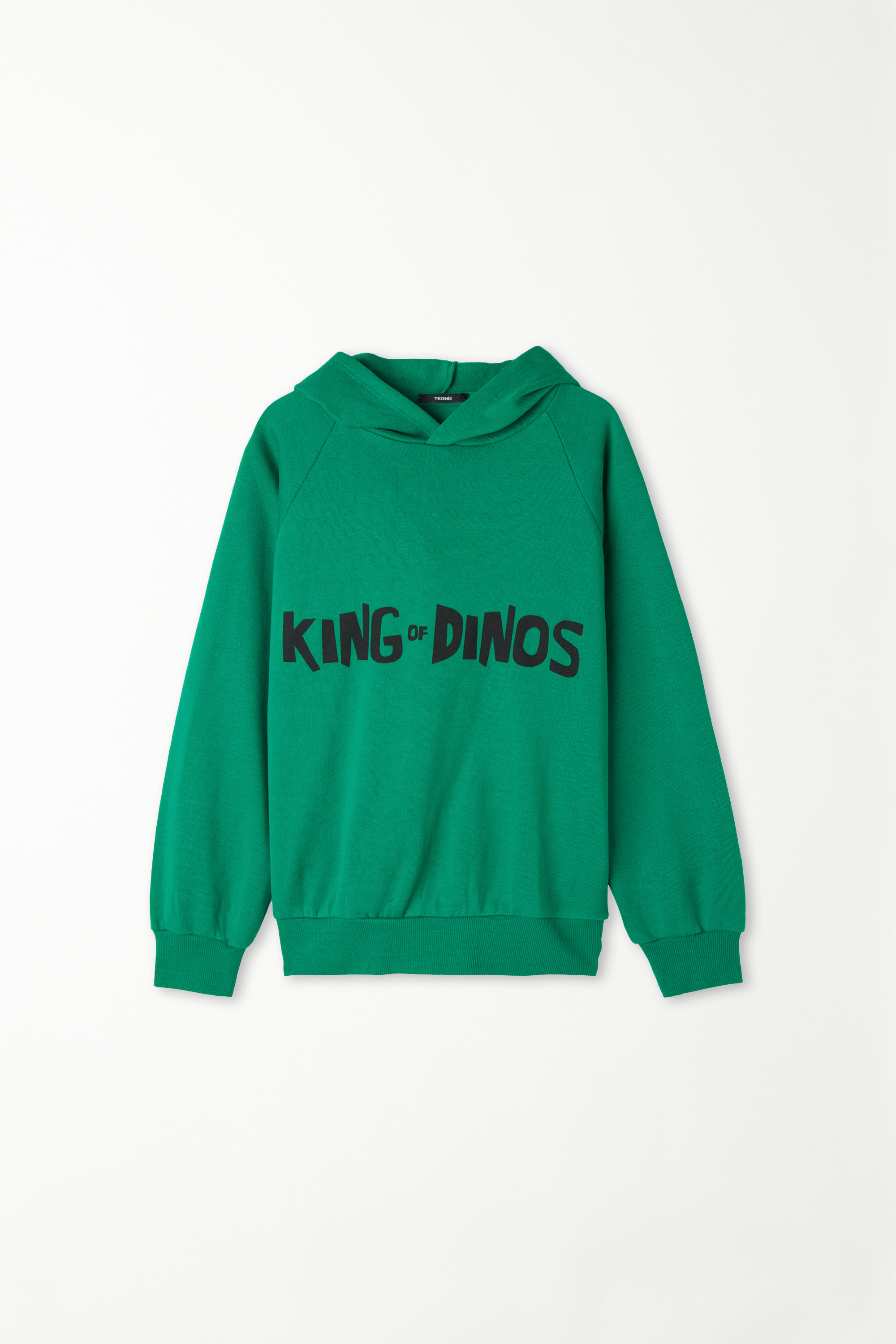 Langarm-Sweatshirt für Jungen „King of Dinos“